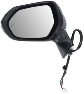 Toyota Buitenspiegel 5402192505314P