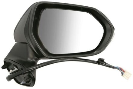 Toyota Buitenspiegel 5402192505315P