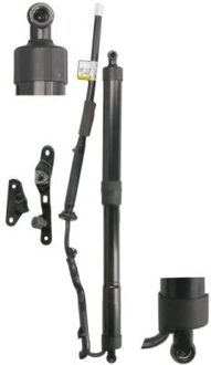 Toyota Elektrische Gasveer, achterklep MGS8093MT