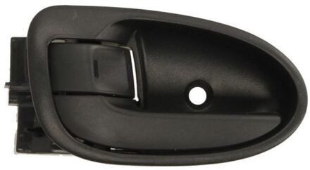 Toyota Handgreep, interieur 601019059409P