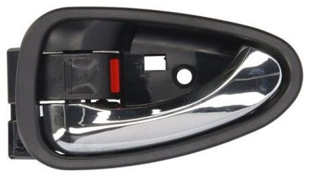 Toyota Handgreep, interieur 601019068409P