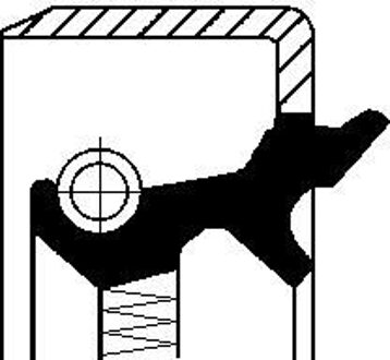 Toyota Keerring, differentieel 19017586B