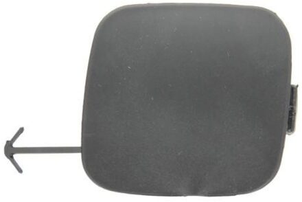 Toyota Klep, afsleephaak 5513008116923P