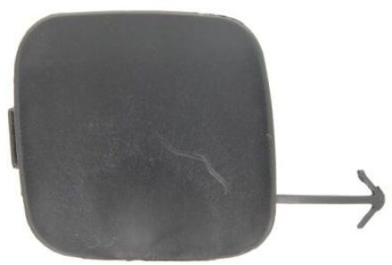 Toyota Klep, afsleephaak 5513008116924P