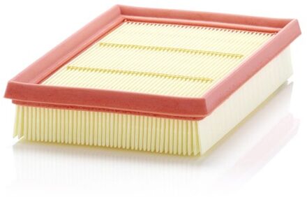 Toyota Luchtfilter C24076