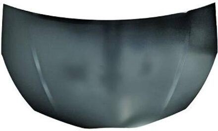 Toyota Motorkap 6607000