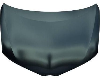 Toyota Motorkap 6660000