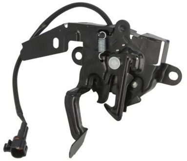 Toyota Motorkapslot 6010038139420P