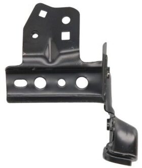 Toyota Ophanging, spatbordfixering 7802038156381P