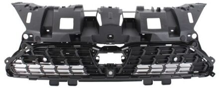 Toyota Radiateurgrille 6502078168993P