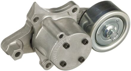 Toyota Riemspanner, Poly V-riem T39606