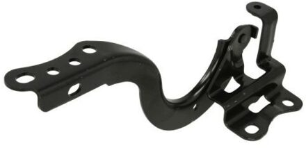 Toyota Scharnier, motorkap 6802008119451P