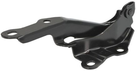 Toyota Scharnier, motorkap 6802008179451P
