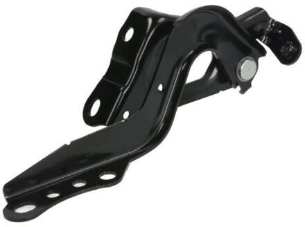 Toyota Scharnier, motorkap 6802008186451P