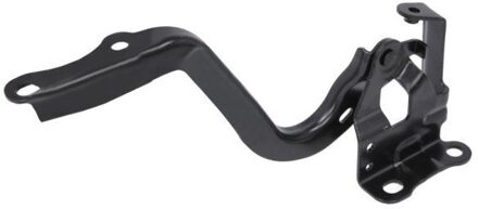 Toyota Scharnier, motorkap 6802008189451P