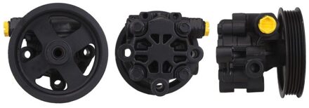 Toyota Servo pomp 150165