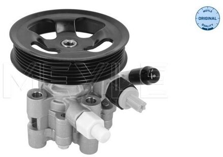 Toyota Servo pomp 30146310013