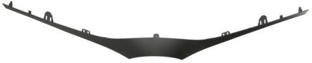 Toyota Sier- / Beschermingspaneel, radiateurgrille 6502078157210P