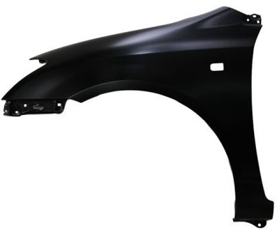 Toyota Spatbord 6504048116311P