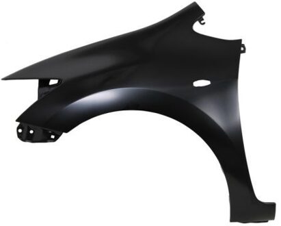 Toyota Spatbord 6504048118311P