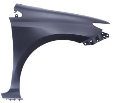 Toyota Spatbord 6504048118316P