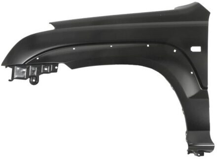 Toyota Spatbord 6504048136313P