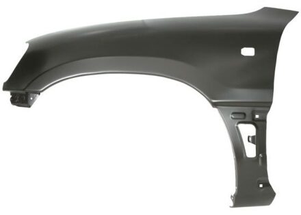 Toyota Spatbord 6504048137313P