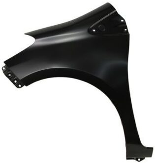 Toyota Spatbord 6504048156311P