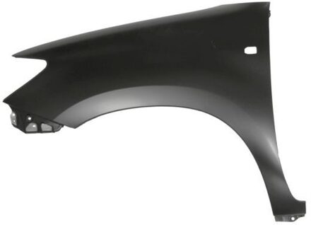 Toyota Spatbord 6504048172313P