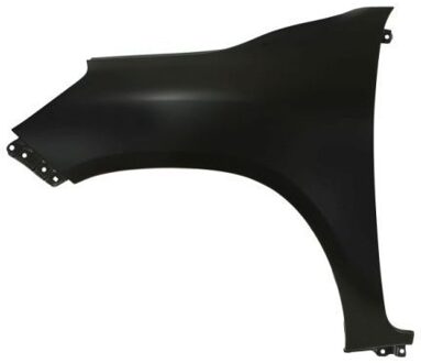 Toyota Spatbord 6504048175313P