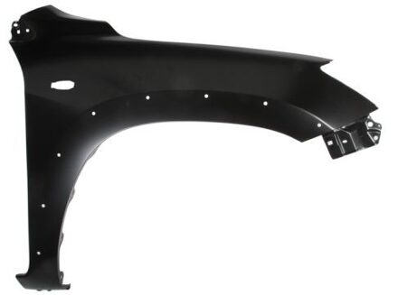 Toyota Spatbord 6504048179314P