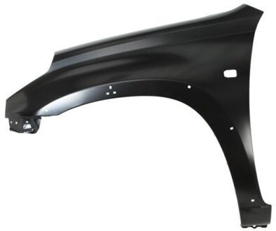 Toyota Spatbord 6504048179317P