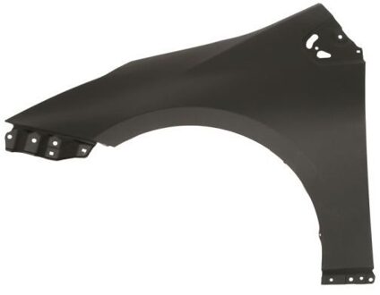 Toyota Spatbord 6504048189311P