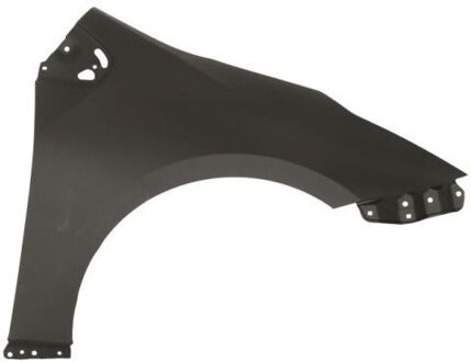 Toyota Spatbord 6504048189312P