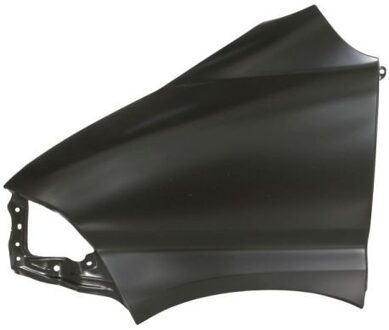 Toyota Spatbord 6504048194311P