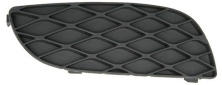 Toyota Ventilatiegrille, bumper 6502078109916P
