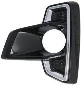 Toyota Ventilatiegrille, bumper 6502078175915P