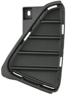 Toyota Ventilatiegrille, bumper 6502078178913P