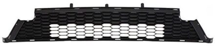 Toyota Ventilatiegrille, bumper 6502078178995P