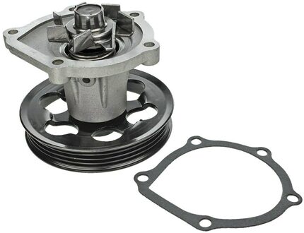 Toyota Waterpomp 30131610010