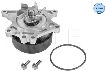 Toyota Waterpomp 30132200005