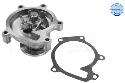 Toyota Waterpomp 30132200011