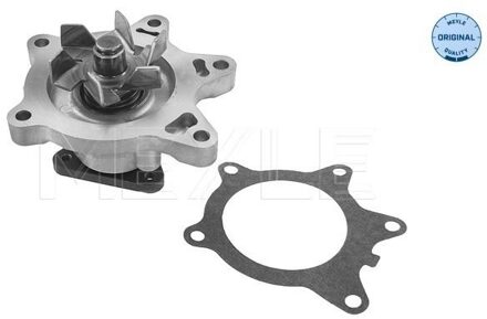 Toyota Waterpomp 30132200012