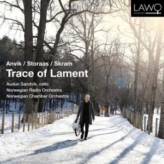 Trace Of Lament - Audun Sandvik