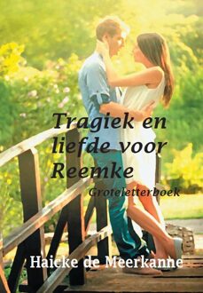 Tragiek en liefde voor Reemke - Boek Haicke de Meerkanne (9462601291)