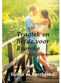 Tragiek en liefde voor Reemke - Boek Haicke de Meerkanne (9462601291)