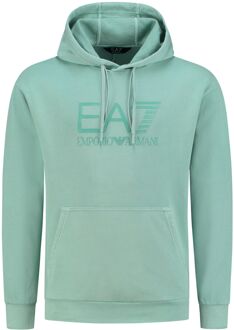 Train Dyed Summer Hoodie Heren groen