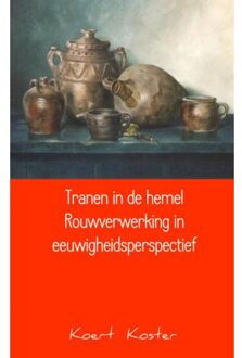Tranen in de hemel Rouwverwerking in eeuwigheidsperspectief - Boek Koert en Marleen Koster (9461938241)