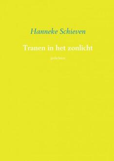 Tranen in het zonlicht - Boek Hanneke Schieven (9402129057)