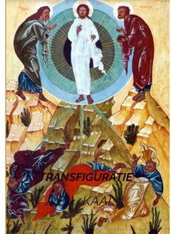 Transfiguratie - (ISBN:9789464350883)